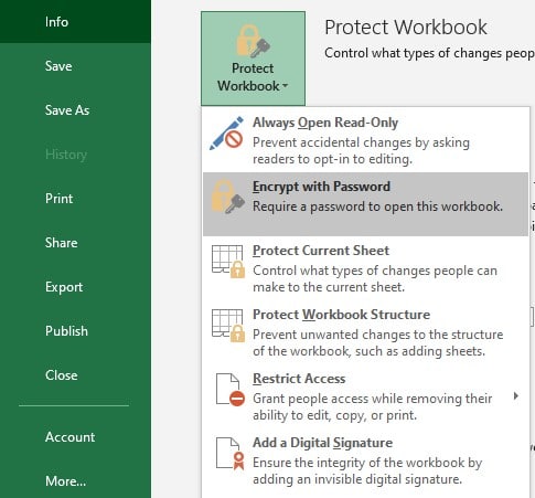 protect an excel file with a password