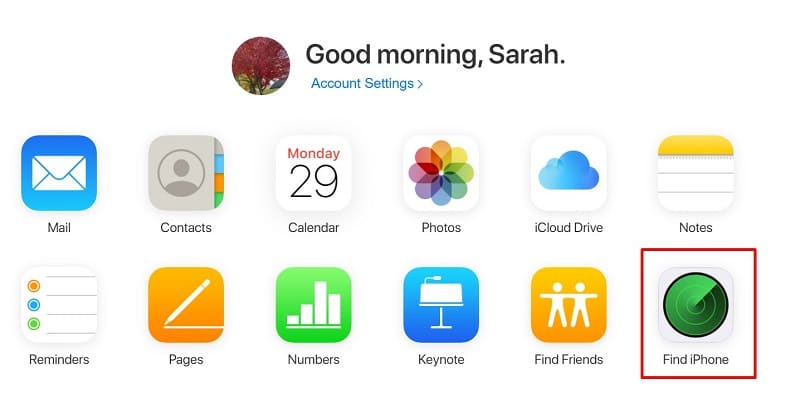 Select Find iPhone on iCloud