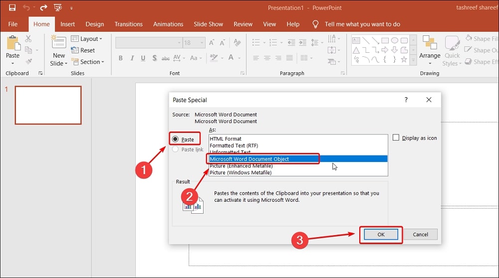 Paste as Microsoft Word Document Object in PowerPoint