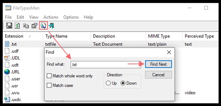 FileTypeMan interface showing highlighting how to change file icon on Windows 10