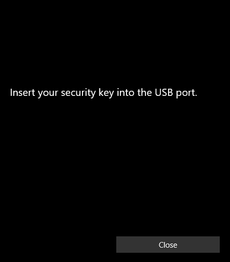 insert your Security Key into an open USB port